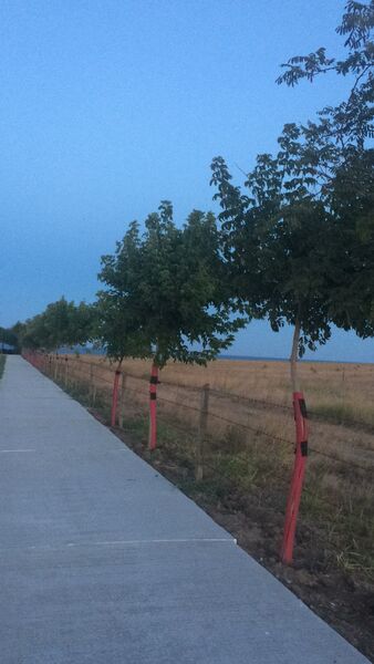 Costinesti.